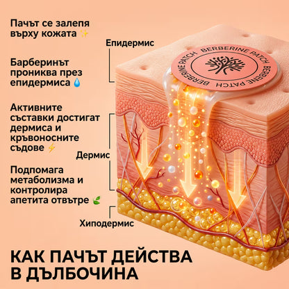 Пачове за отслабване с берберин
