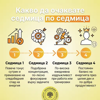 Пачове за енергия и концентрация