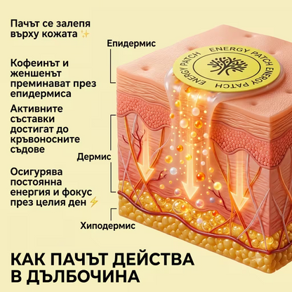 Пачове за енергия и концентрация